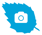 Infragram logo image.